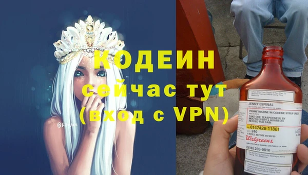 гашик Пестово