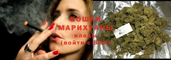 гашик Пестово
