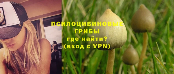 ALPHA PVP Алзамай