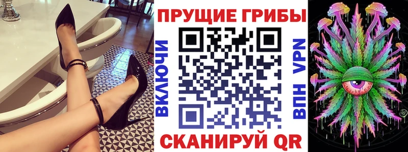 Псилоцибиновые грибы GOLDEN TEACHER Оленегорск